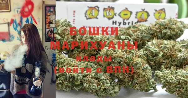 стаф Абаза