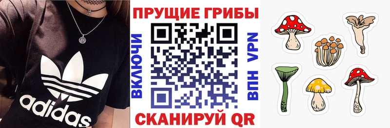 купить наркоту  Азнакаево  Псилоцибиновые грибы Psilocybine cubensis 